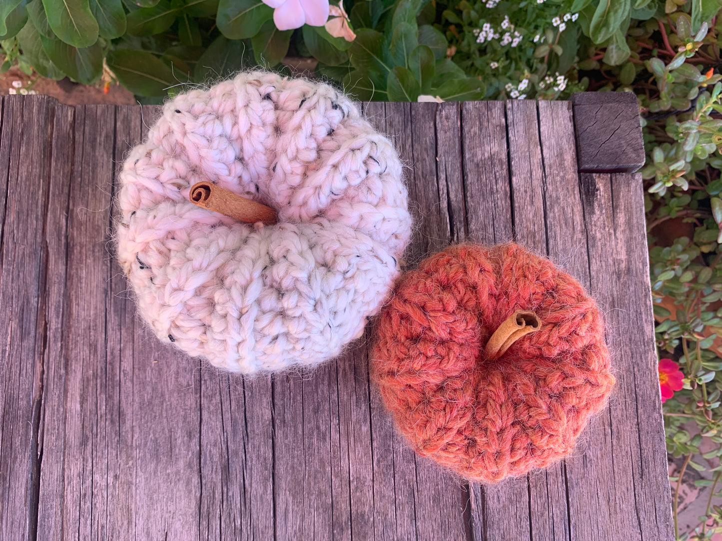 Cinnamon Pumpkins